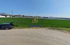 Teren intravilan 13.602 mp | Dragomiresti Vale | Sos. de Centura - 9