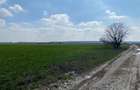 Teren Intravilan Snagov - 1