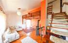 Vila/Proprietate Speciala, 500mp utili, 3300mp teren, Sangeorgiu de Ms - 14