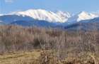 Teren intravilan 2500mp  pe Valea Avrigului,optim casa de vacanta - 14