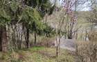 Proprietate de vacanta Valea Oltului - BREZOI - 21