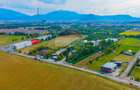 Teren intravilan 11.769 mp | Langa Centura BV – Str. Livezii | Oneves - 10