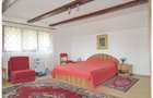 Casa deosebita cu gradina generoasa Vladeni - 14