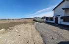 Teren rezidential Sanpetru – Brasov zona de case - 1