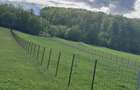 Teren intravilan, 2500mp, Voievodeasa, Marginea - 1