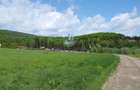 Teren 2300+1600 mp cu deschidere 16 m, Negresti, Jud. Neamt - 1
