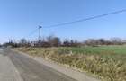 Gradistea/Zona padure - 3