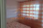 Apartament 2 camere Cantemir - 9