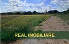 Teren intravilan 6.600mp, zona Niscov - Vernesti! - 1