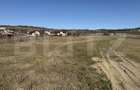 Teren intravilan in localitatea Hereclean in suprafata de 5800 mp - 8