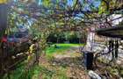 Casă 3 camere + 2.341 mp teren, zona centrală Recea, Argeș – 28.000 € - 20
