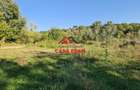 Teren intravilan in Cornu (Ph)--1490 mp--29e - 6