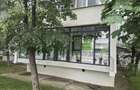Vanzare Spatiu Comercial Alexandru cel Bun | 54mp | Vitrat | Bulevard