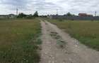 Domnesti-Afinului, teren  4394 mp - 9