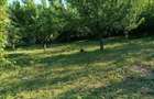 Teren intravilan Ciurbești – Miroslava, 1.000 mp, 36,5 m deschidere, 100 m de Centură 65.000 € - 7