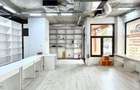 Spatiu Comercial Vasile Lascar - 3