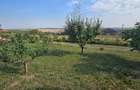 Teren cu cabanuta de lemn in Zaicesti - 8
