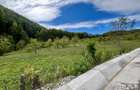 Teren 5.600 mp – Liniște, Natură și Verdeață | 10€/mp - Comision 0% - 1