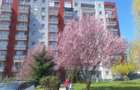 Apartament 3 camere de inchiriat - 1