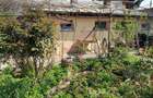 CASA 3 CAMERE SI CURTE - GIULESTI STRADA ARTARULUI - TEREN 296 MP - 4