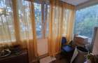 Apartament 3 camere, 2 balcoane, cartier Plopilor!
