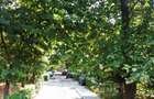 3 camere modern, loc de parcare, pet friendly, Titan - 17