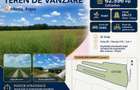 Teren 6,26 ha lângă DEx12 Pitești - 1
