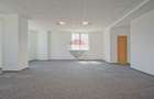 SPATIU COMERCIAL 80 MP OPEN SPACE CU GRUP SANITAR | GREEN CENTER ITC - 1