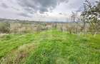 Teren intravilan de vânzare – 728 mp, Oarda de Sus, cu priveliște panoramică - 2