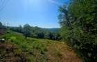 Teren intravilan 2322 mp, Păcuri – vedere superbă spre pădure! - 4