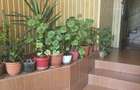 De vânzare apartament 2 camere decomandat | Zona 8 Mai - 3