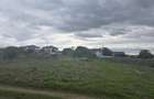 Vand teren in Palazu Mare lot de casa - 6