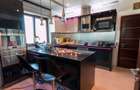 Penthouse parc Herastrau sos Nordului + 400 mp curte cu piscina - 9