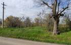 Periș, sat Brătulești, teren intravilan cu deschidere la lac - 8