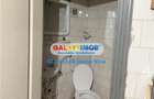 SPATIU COMERCIAL DE INCHIRIAT - 7