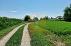 Teren intravilan 4.133 mp cu dublă deschidere – Girov, Neamț | Toma Imobiliare - 6