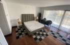 Penthouse, 5 camere, piscina proprie, zona  Kiseleff - Arcul de Triumf. - 7