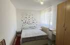Inchiriere apartament 2 camere Berceni - 7