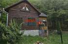 Casă de vacanță la pădure | Teren 891 mp | Valea Ighielului - 12