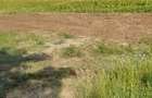 Teren intravilan 500 mp deschidere 23 m Puz Apobat P+2 - 10