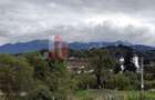 Teren de investiție în Moieciu, lângă Castelul Bran – 11.381 mp, vedere Bucegi - 10