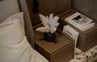 ISOLA BOUTIQUE - Pallady lucrările au început - metrou in apropiere - 10