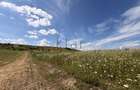 Teren 2900 m2 in Aiton ideal pentru investitie - 4