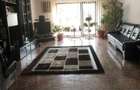 Afumati vila 8 camere , teren 1300 mp , piscina - 5