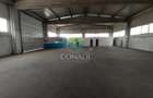 Zona DNCB Clinceni De inchiriat Hala C1 - 1
