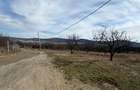 Teren intravilan, 2 x 25 ari, Livada SCPP, Strada Cerbului, Zalău, panoramă - 9