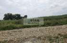 Ciolpani - Padurea Snagov 672 Mp, Toate Utilitatile, Padure, 18 Deschi - 4