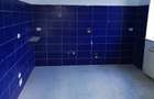 Penthouse Gavana Platou + terasa 470mp - 9