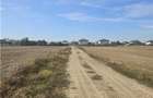 Oportunitate Investitie - Dragomiresti Vale - Zurbaua - A1 - A0 - sos Centura - 8