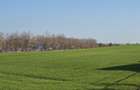 Teren de vanzare in Agigea zona DN 38 - 7